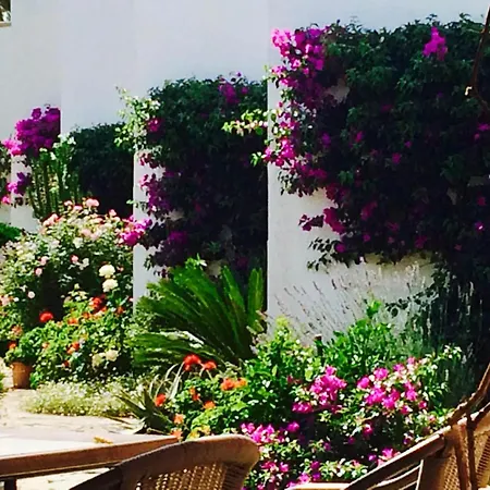 Apartment Sunny Spacious Family In Port de Pollenca